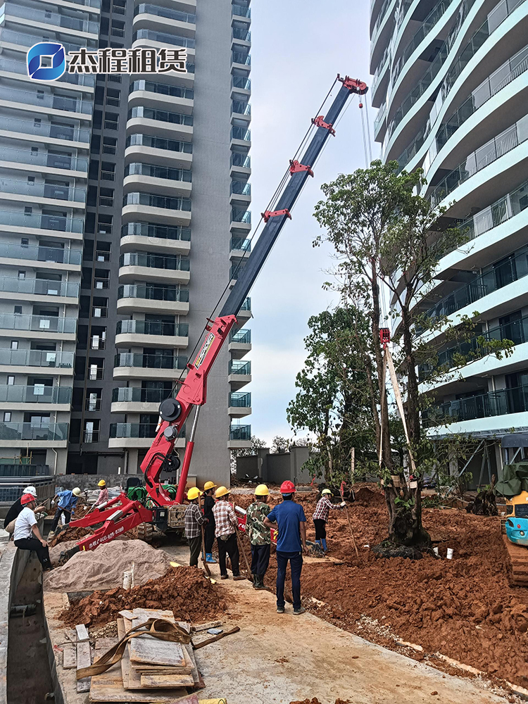 5噸蜘蛛吊出租助力園林景觀樹(shù)移植